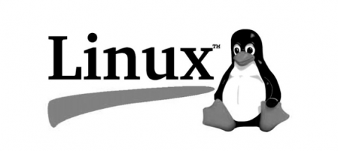 Linux курсы. Astra Linux логотип. Астра линукс лого. Астра линукс логотип.